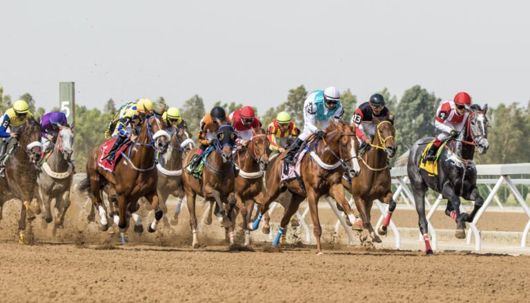 Online Betting in Saudi Arabia - Find the Best Betting Sites