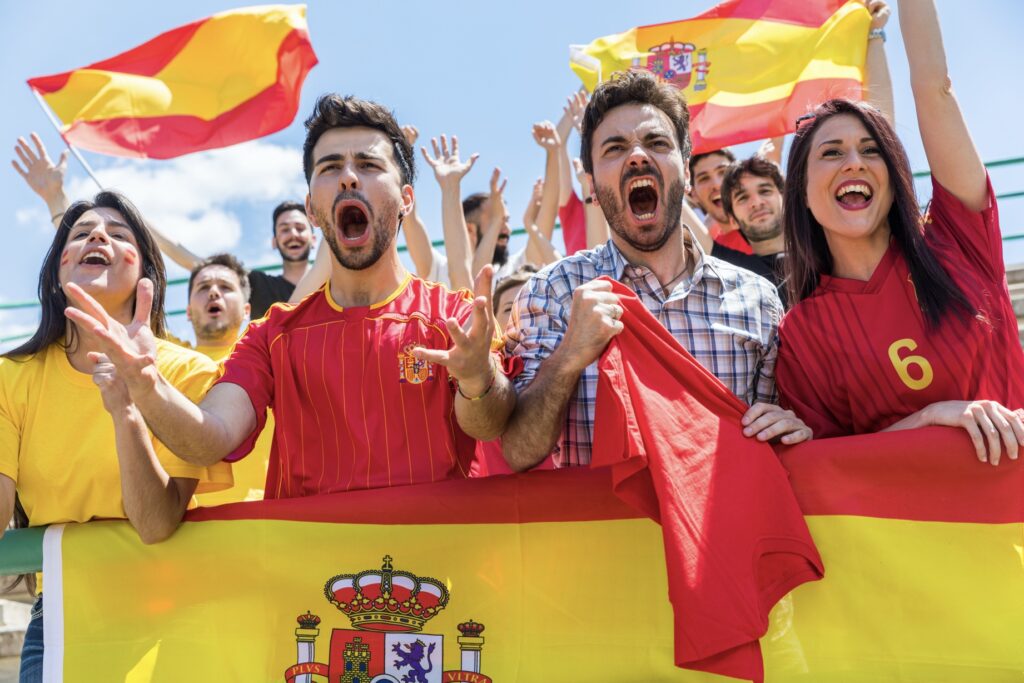 Spain fans during match