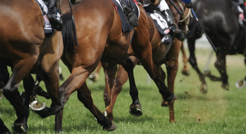 Rear view of horses racing on grass