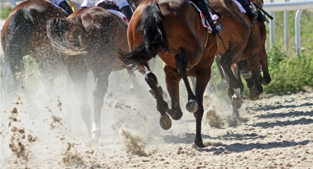 Rear view of racehorse's during a race