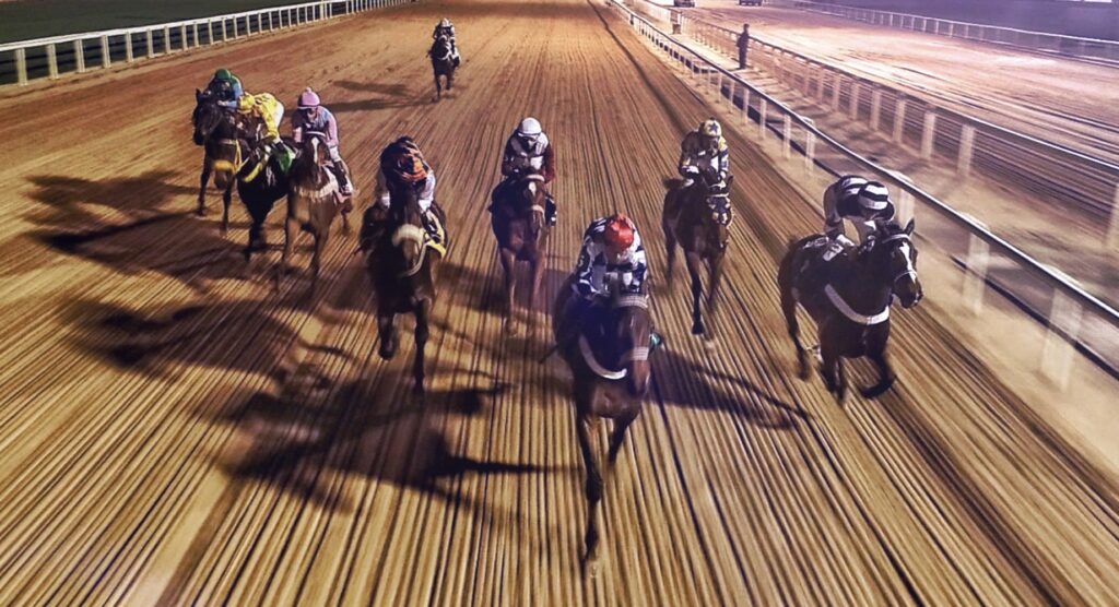 Front view of horses racing on dirt track