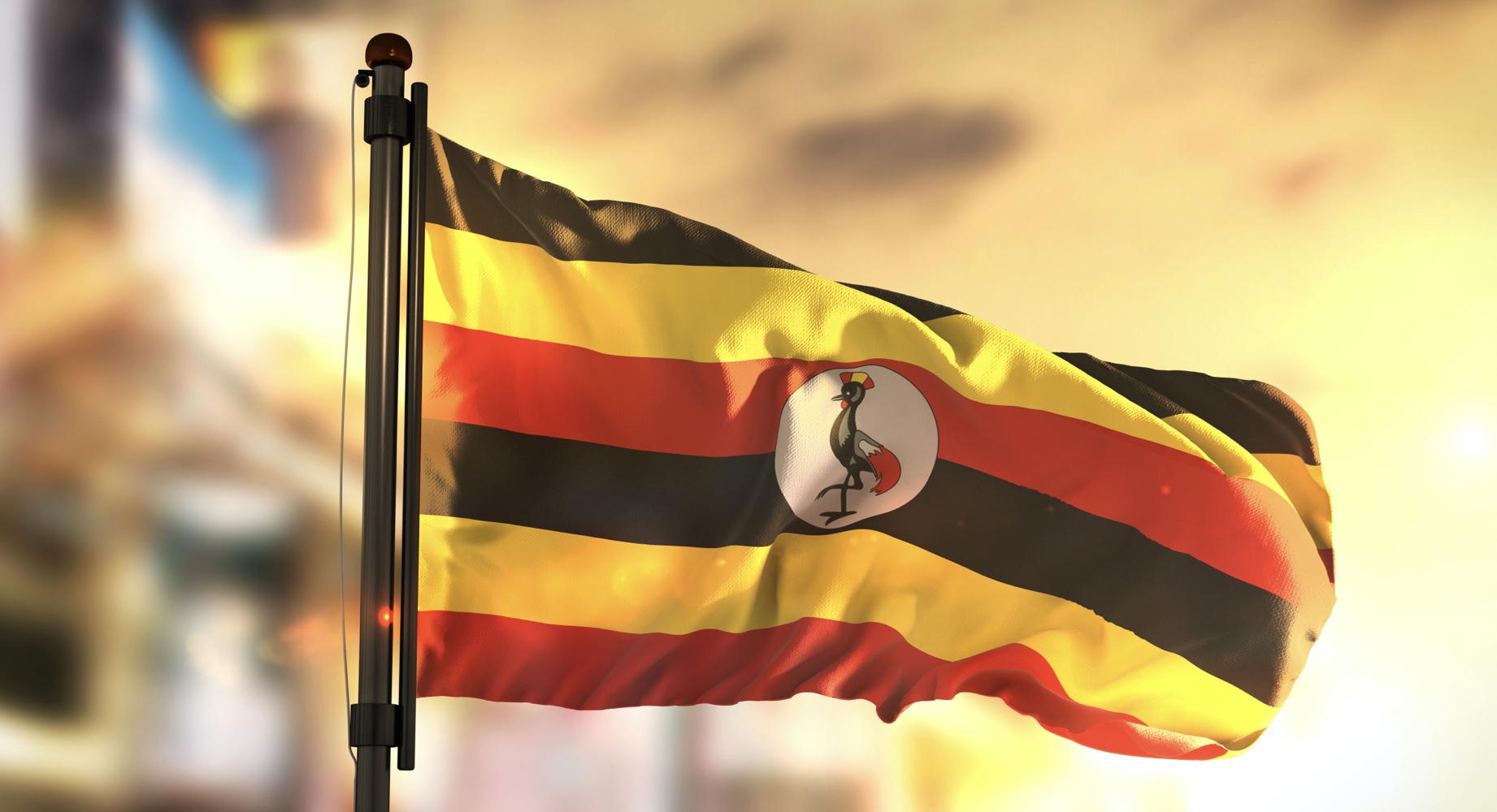 Victory sports betting uganda be kidding cryptocurrency starting price