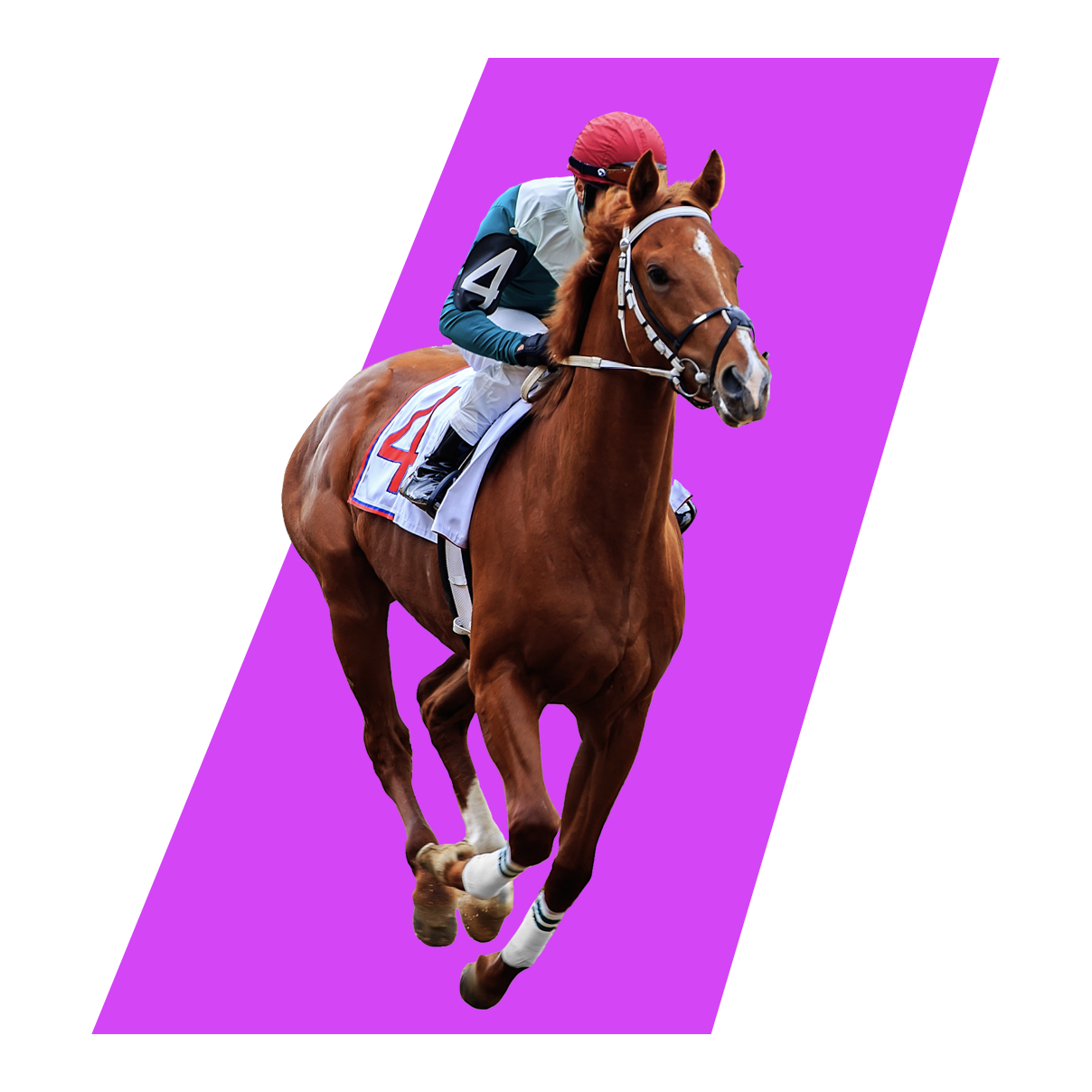 new horse racing betting sites