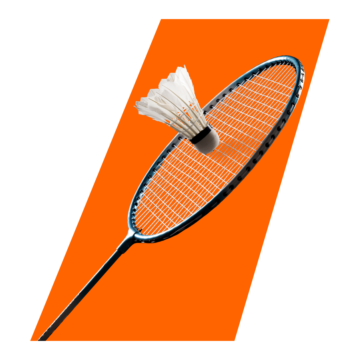 Badminton Betting