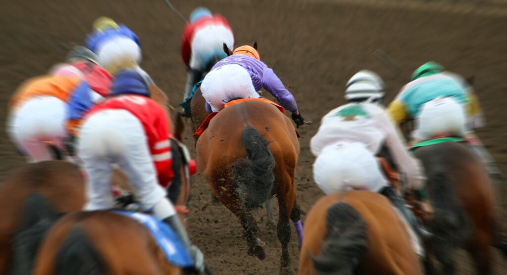 Rear view of horses racing