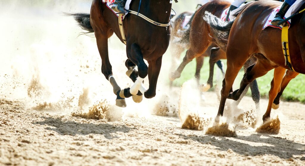 Close-up of horses racing