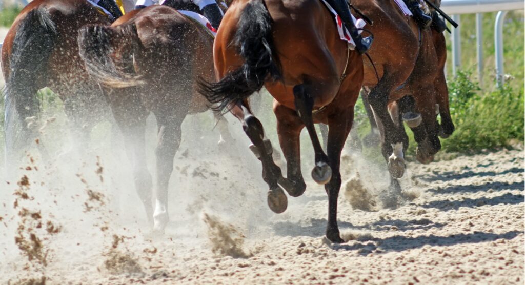 Rear view of horses during race