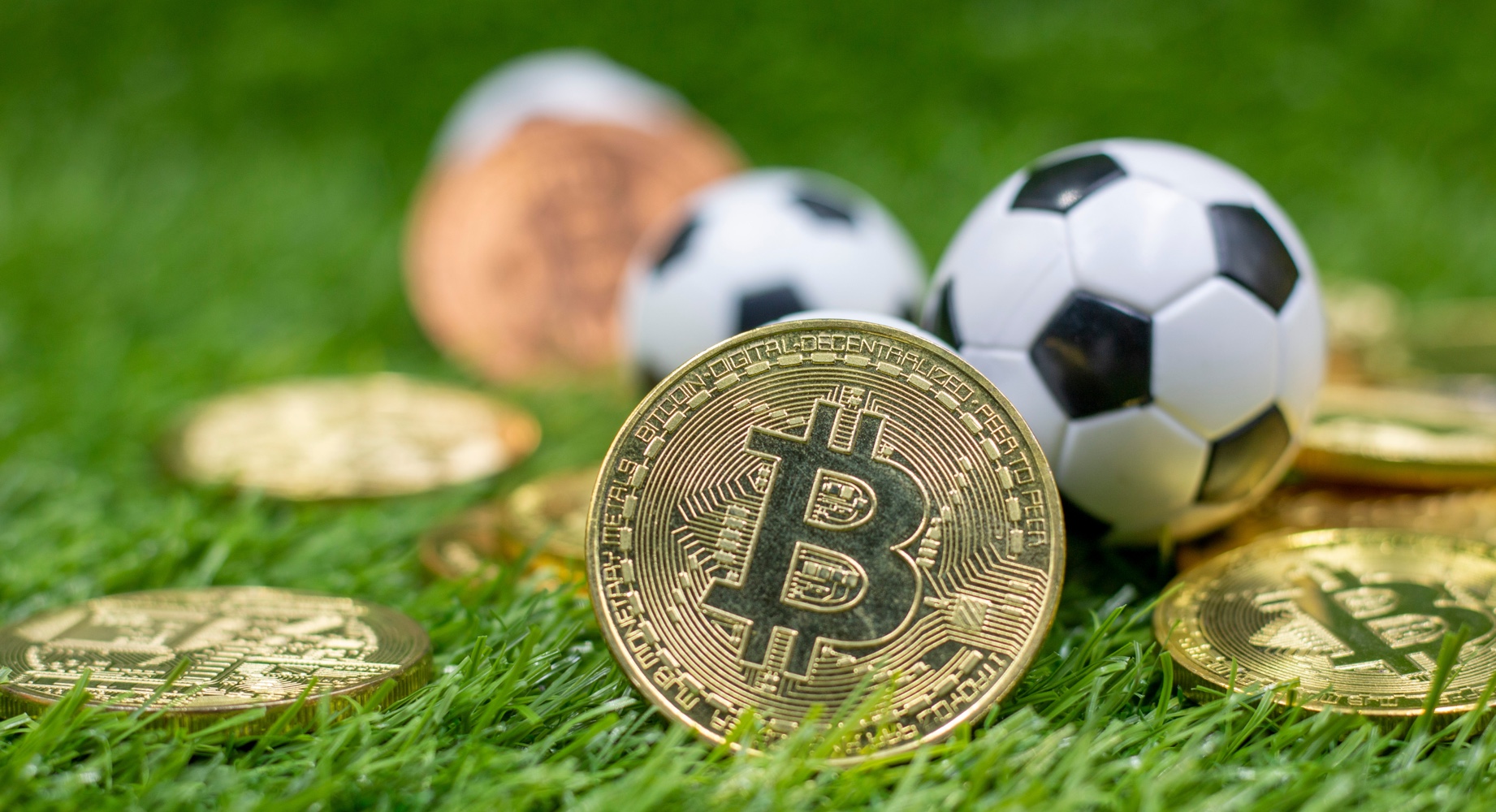 Mastering The Way Of india betting sites, best legal Indian betting sites Is Not An Accident - It's An Art