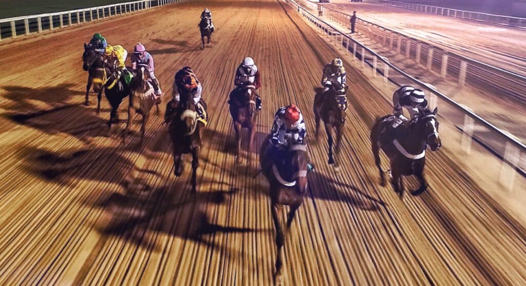 Horses running during a race