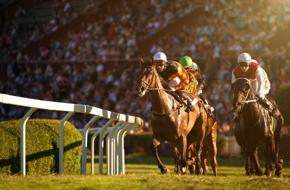 Horses racing around a bend