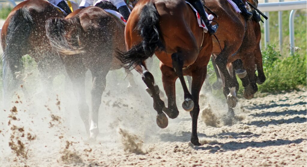 Horses sprinting during Japan Cup