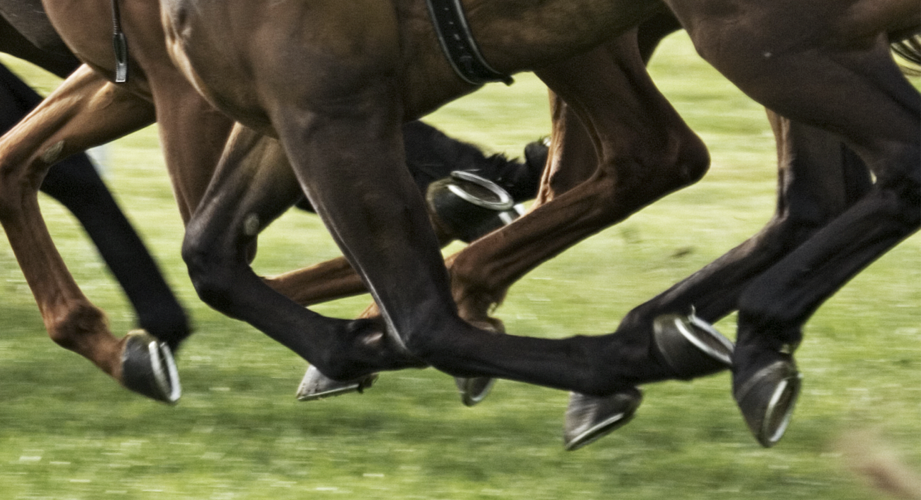 Horses galloping during Epsom Derby