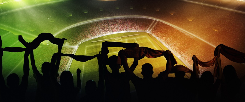 At world cup. Back view of football, soccer fans cheering their team 