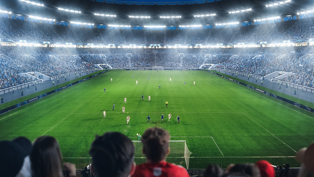 Fans Cheer for Their Favorite Team