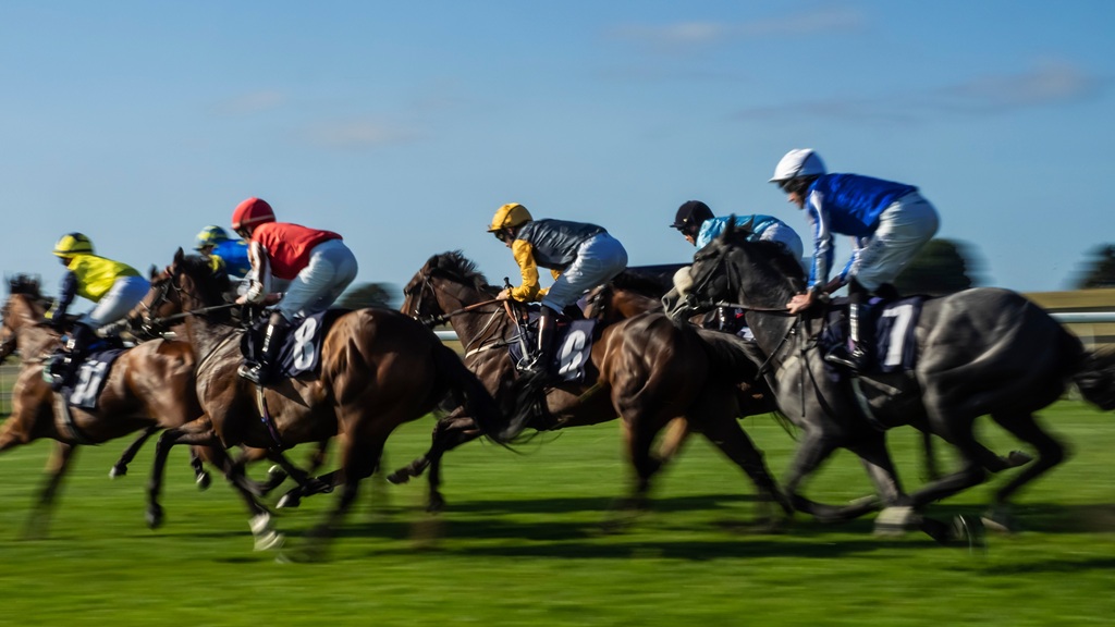 Blurred and sharp speeding race horses at race meeting