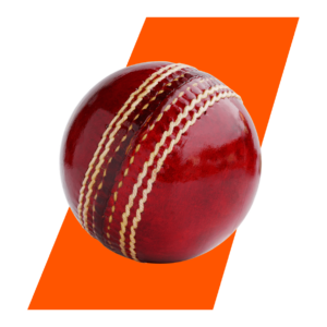 Cricket Betting Hero Image